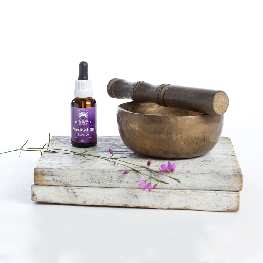 Meditation Essence