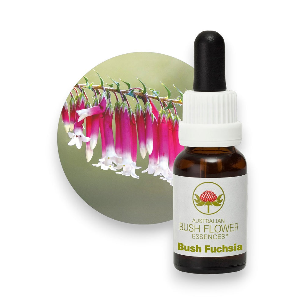 Bush Fuchsia