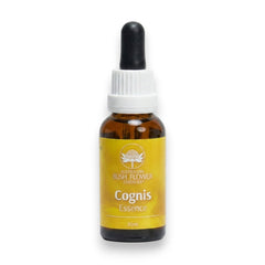 Focus Essence (Cognis)