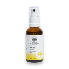 Focus Essence Spray