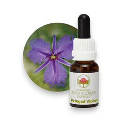 Fringed Violet