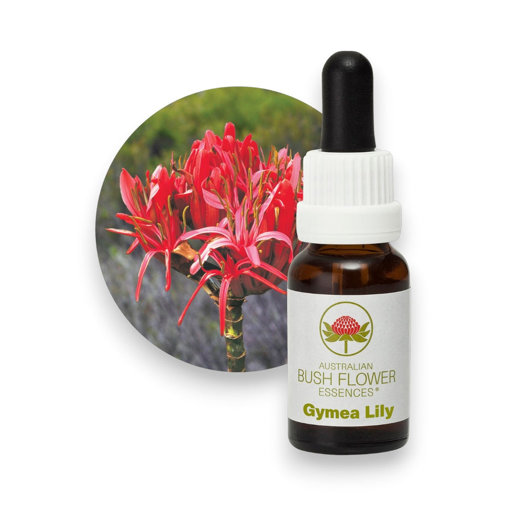 Gymea Lily