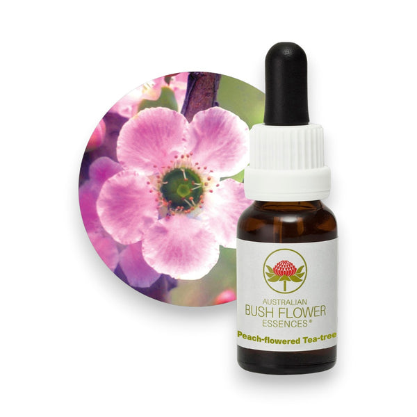 Peach-Flowered Tea-Tree