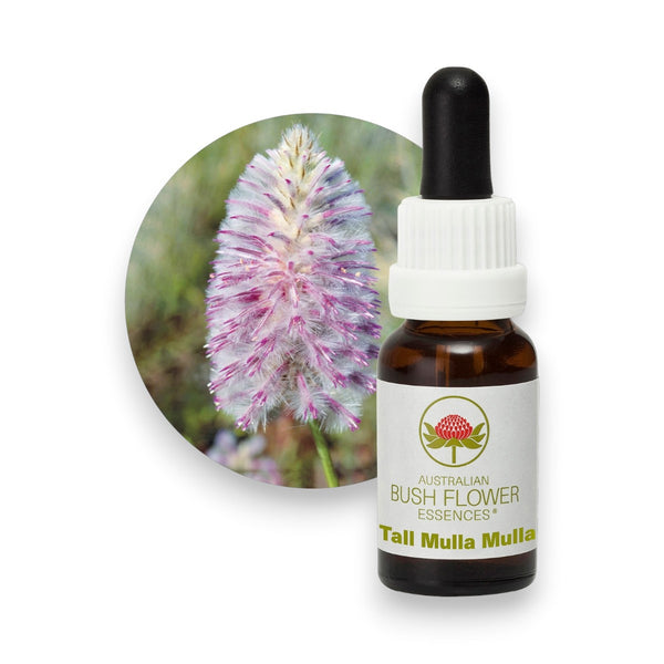 Tall Mulla Mulla