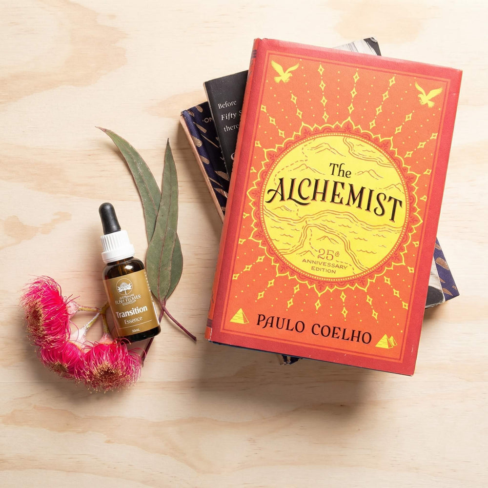 Transition Essence