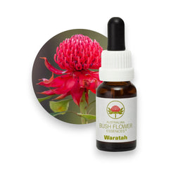 Waratah